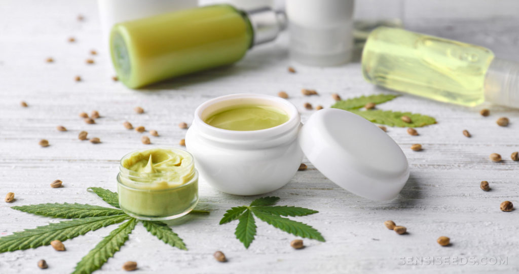 Best CBD Lotion For pain