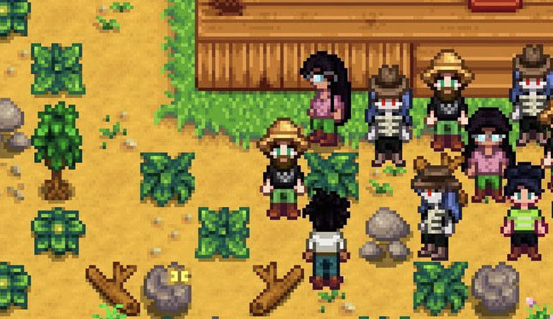 How to Play Stardew Valley Multiplayer 