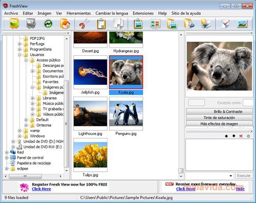 best replacement for picasa