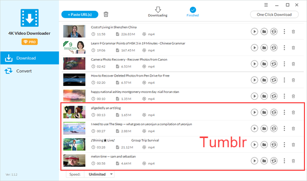 Tumblr video downloader