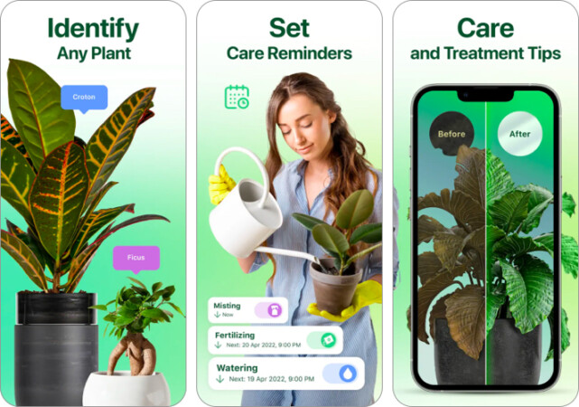 Best Plant Identification App