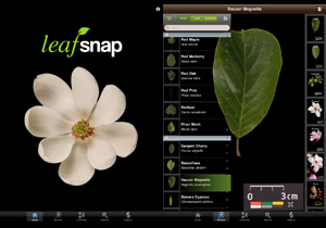 LeafSnap 