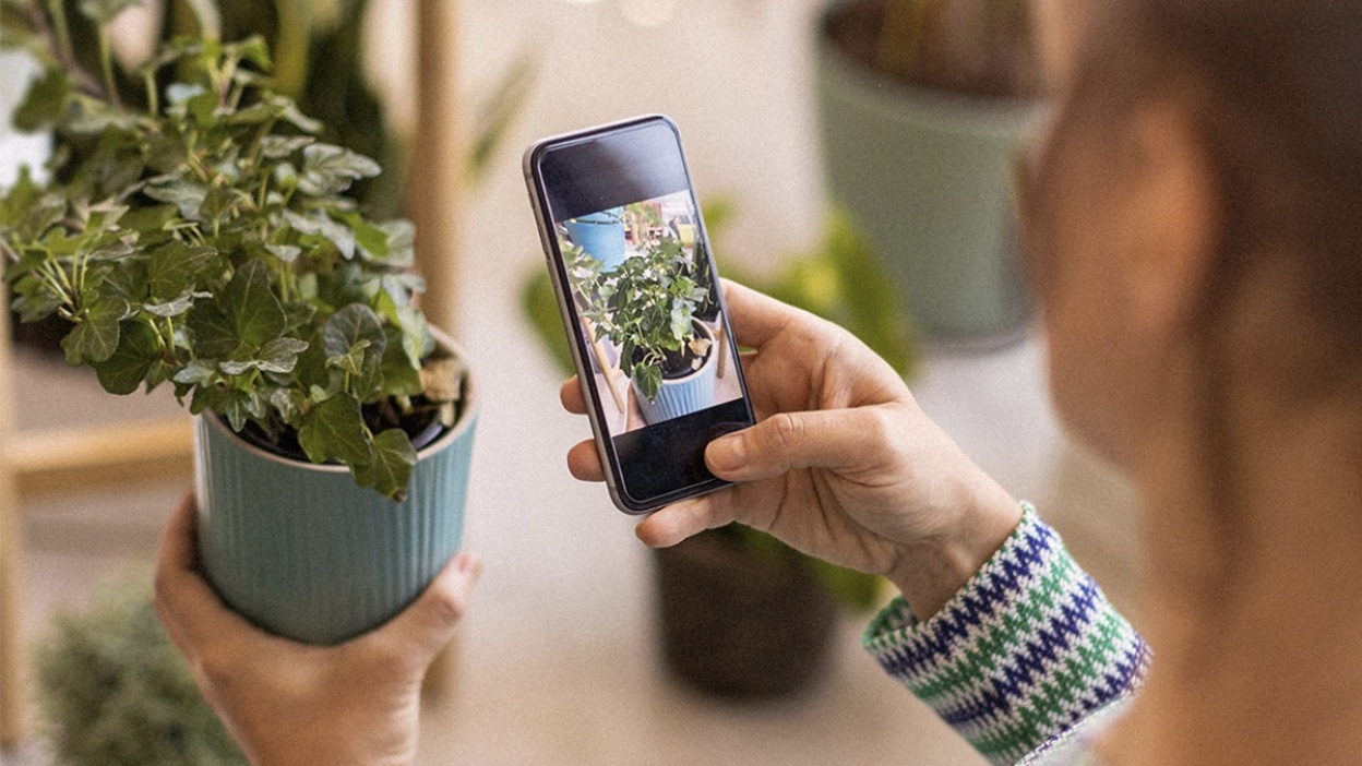 Best Plant Identification App