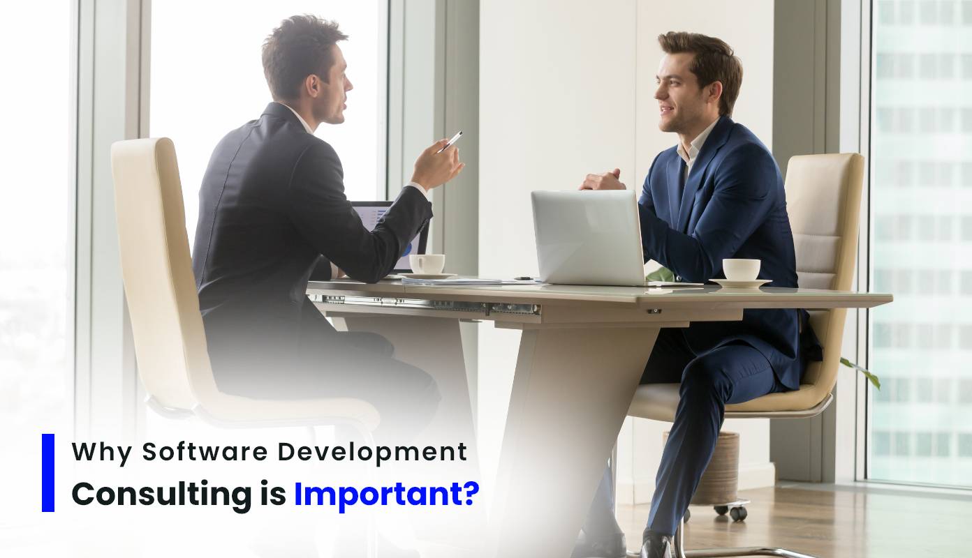 Software Development Consulting