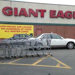 An Overview of the Giant Eagle