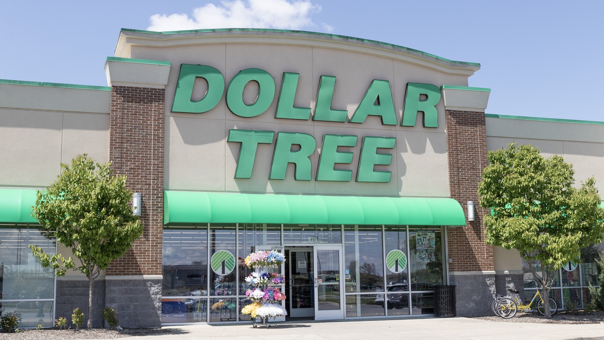 How can I create a Tree Dollar account?